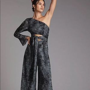 NWT - One-Shoulder Burnout Velvet Jumpsuit
